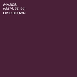 #4A2038 - Livid Brown Color Image